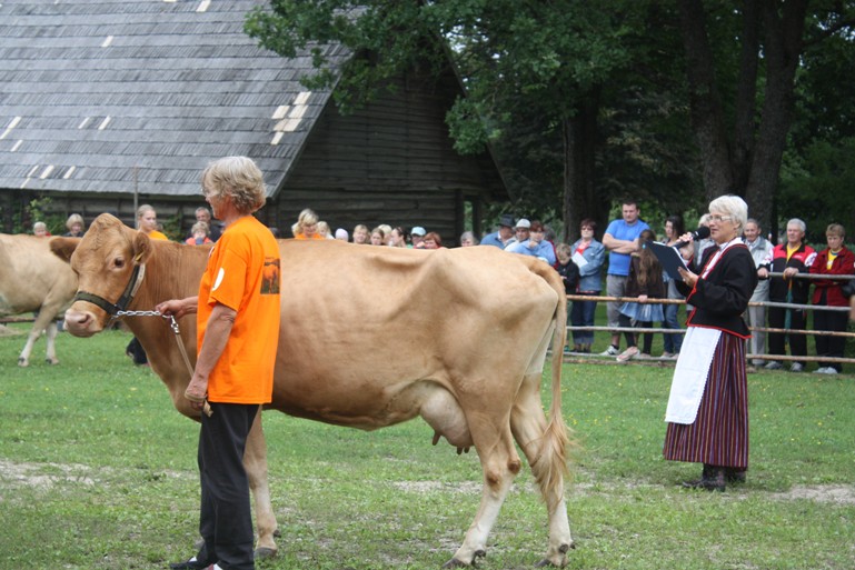 Eesti maatõugu veiste esitlus, Kurgjal 13.augustil 2011.a.